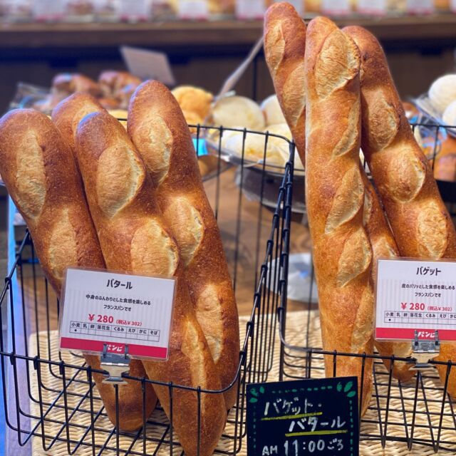 ・

おはようございます☀️.°
ベーカリー パンビです！
この週末も暑くなりそうですね☺️ジェラートご利用下さいませ(*ˊᵕˋ*)

本日は 【 バゲット 】【 バタール 】のご紹介です⋆͛📢⋆
バゲットはパリッとした食感を、バタールは中身のふんわりした食感を楽しめるフランスパンです♩¨̮
バゲットやバタールが食卓にあるとオシャレですよね☺️
毎日11:00前後の仕上がり予定です♩¨̮
バゲット、バタールは人気のある商品です。日や時間によっては完売しているかもしれません。ご了承頂けたらと思います🙇🏻‍♀️❣️
食卓のおともにいかがでしょうか( "´༥`" )

- - - - - -  S W E E T 𖠚 J E L A T O - - - - - - 

ジェラートの販売をレギュラー化しました🍨✨

▫️お抹茶
▫️バニラミルク
▫️マンゴー
▫️白桃ジェラート
▫️ヨーグルト
▫️焦がしキャラメル
▫️チョコレート

各 250円にて販売しております👌🏻 ̖́-‬
これからの季節にぜひご家族でご利用下さいませ( "´༥`" )

 

本日も皆様のご来店を心よりお待ちしております🧸🍀*゜

✎︎＿＿＿＿＿＿＿＿＿＿＿＿＿＿＿＿＿＿＿＿＿＿

ベーカリーパンビでは手作り焼き立てパンを通して「プチ贅沢」な気持ちをお届け出来たら良いなと思います♩¨̮
当店キャラクターの『パンビ』は、パンの帽子をかぶったパン好きな子熊です。お子さまはじめ家族全員に焼きたての美味しいパンに親しんで頂きたいとの思いで、どなたにも覚えやすい「パンビ」と命名しました。

ディズニーのバンビが大人から子供まで愛されるようにベーカリーパンビも地域の皆さまに長く愛されるお店になるようにパン職人スタッフ一同頑張ります𓅯 ⸒⸒

✎︎＿＿＿＿＿＿＿＿＿＿＿＿＿＿＿＿＿＿＿＿＿

#パンビ #ベーカリーパンビ  #bakery  #ベーカリー 
#長野県 #nagano #パン屋さん #上田市 #ueda #上田市パン屋  #上田市グルメ #信州上田 #上田市パン #スクラッチ製法 #手作りパン #newopen #パン好き 
#美味しいパン屋 #パン巡り #breakfast #lunch #dinner  #ささや #ジェラート #gelato #バゲット #バタール